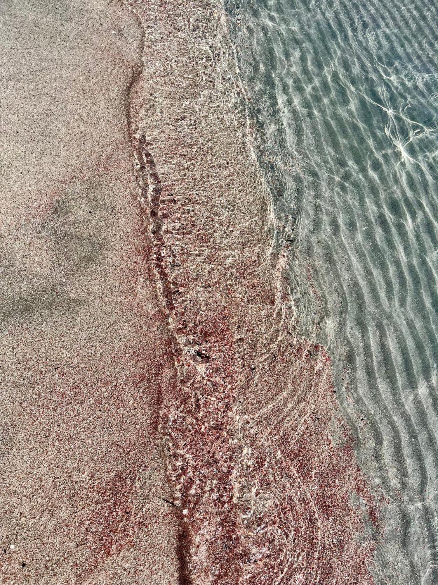 Case Vacanze "Bianco Mare" Porto Pino Bagian luar foto