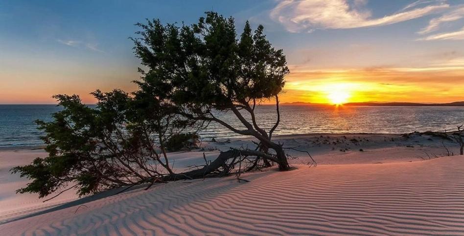 Case Vacanze "Bianco Mare" Porto Pino Bagian luar foto